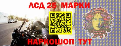 гашик Славгород
