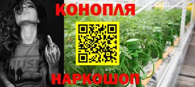 стафф Сланцы