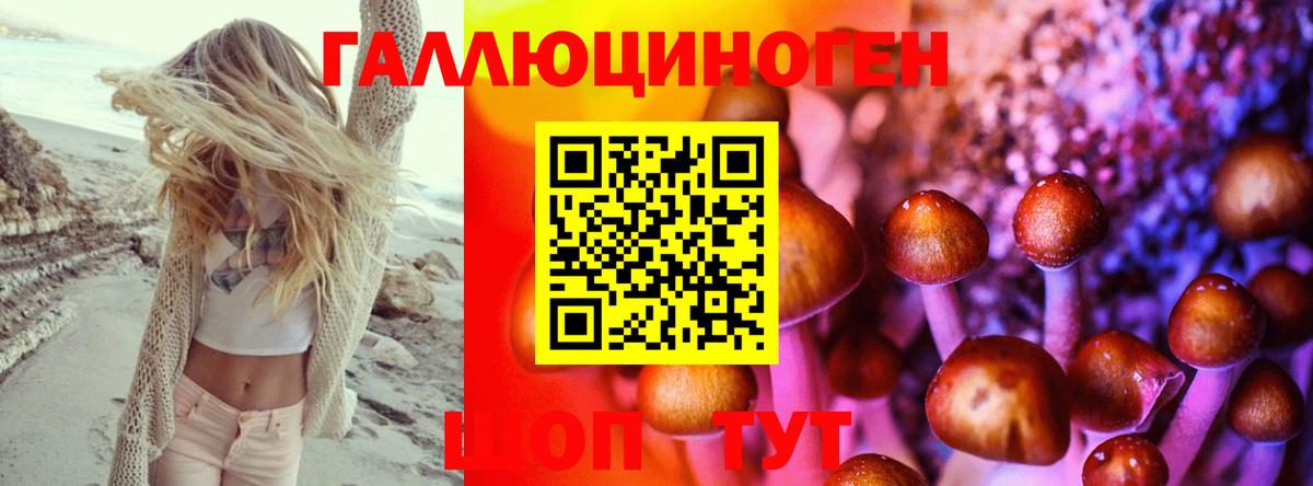 Псилоцибиновые грибы GOLDEN TEACHER  наркошоп  Псилоцибиновые грибы прущие грибы  Новодвинск  Вход с VPN 